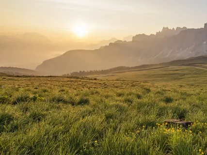 Mending The Wounded Heart