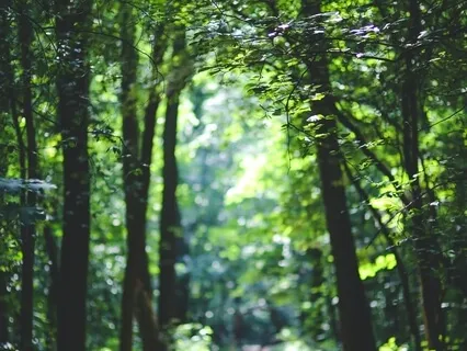 Mending Wall (Poem By Robert Frost)