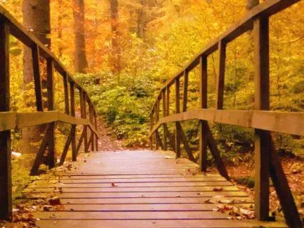 Menopause Meditation: Meeting This Season With Compassion