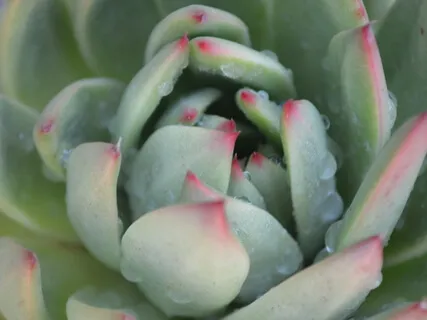 Menstrual Cycle Discomfort Support