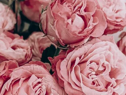 Menstrual Cycle Support Transmission