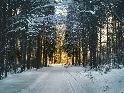 Menstrual Meditation (Inner Winter)