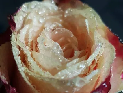 Menstrual Phase Meditation