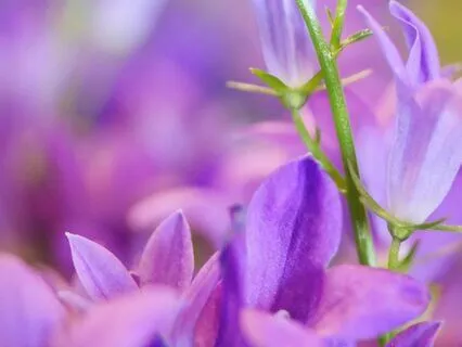 Mental Agility: Beta Waves For Focus & Problem-Solving