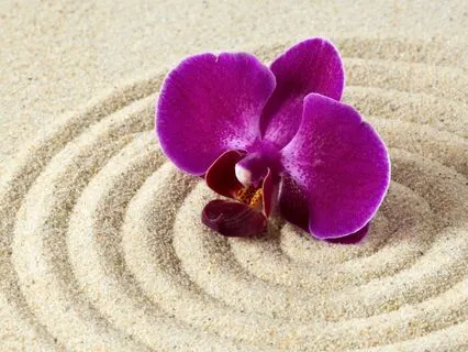 Mental Clarity & Problem-Solving Boost