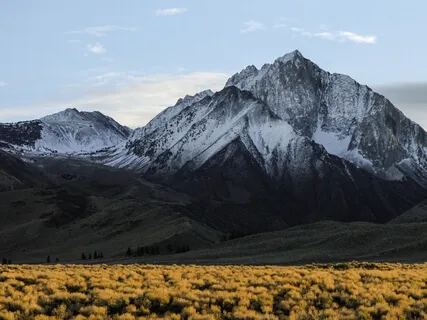 Mental Equanimity Meditation