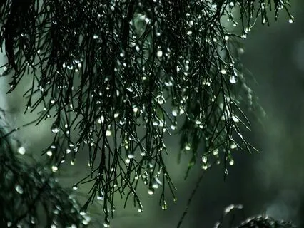 Mental Freedom Through The Practise Of RAIN