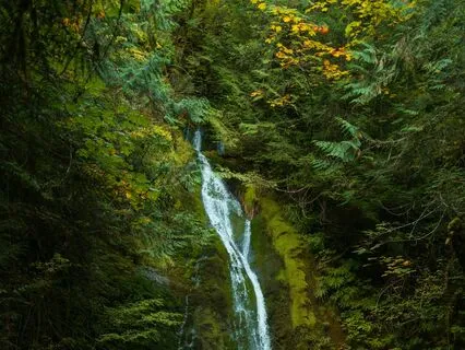 Mental Health And Corona Virus