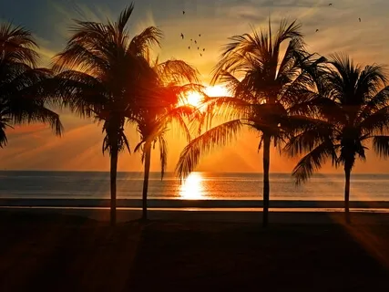 Mental Rehearsal For Health & Recovery