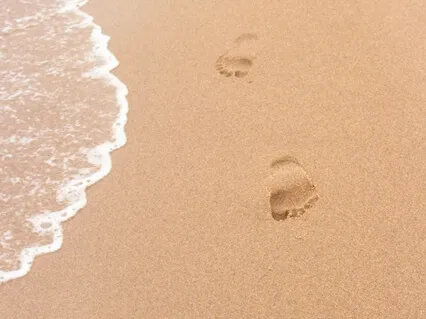 Mental Reset - 5-Minute Guided Meditation To Clear Your Mind