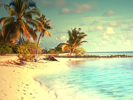 Mental Vacation By The Ocean