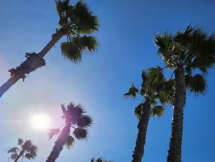 Mental Workout For Runners