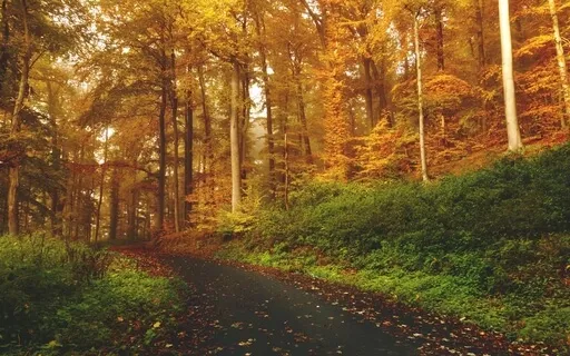 Mentalizing The Modes