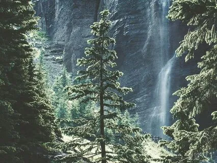 Mentalizing The Modes On Abandonment