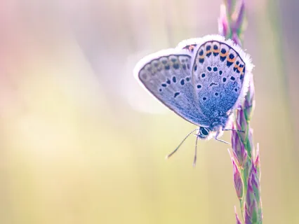 Mentally Fatigued Minds Create False Stories That Should Not Be Believed