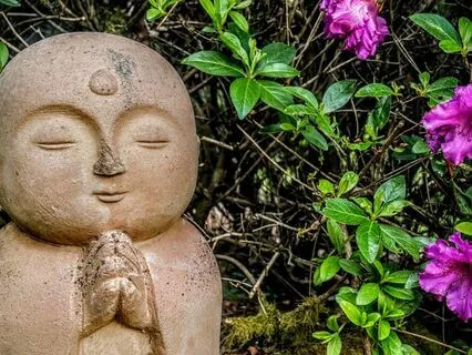 Mentor Bonding Visualization