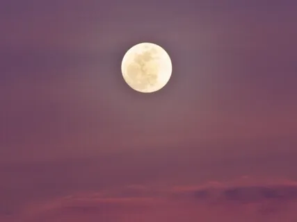 Mercury In Retrograde: Grounding Practice 