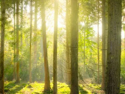 Mercury Meditation: Ease Anxiety & Enhance Communication