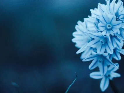 Mercury Power Playbook: A Cosmic Talk