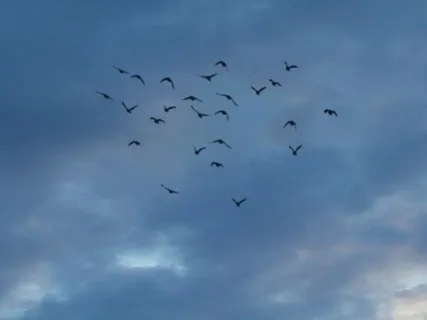 Mercury Retrograde - A Guided Meditation For Relaxation