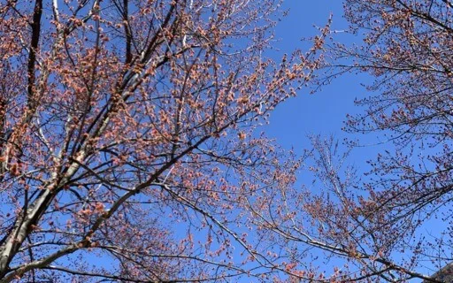 Mercury Retrograde Affirmations Meditation