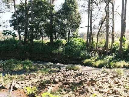 Merge With Nature | Restorative Breathing & Visualisation