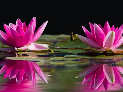 Merging In Relationships