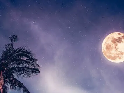 Merkaba Moon - Violin & Hang Drum 432 Hz (Longest Version)