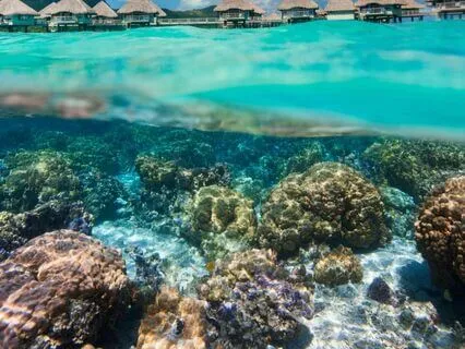 Mermaids In Haiti (Story Time)