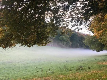 Mesmerising Morning Meditation Music