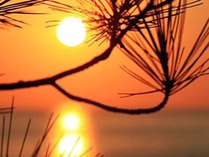 Calming Vibes For Deep Relaxation