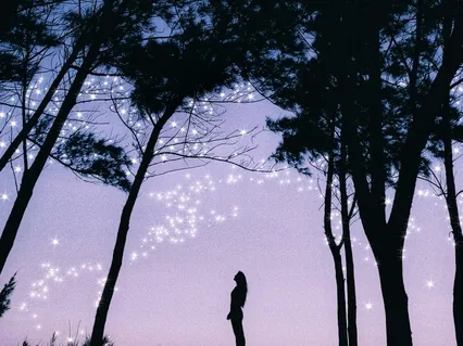 Message From The Trees