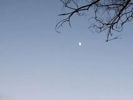 Message Of Compassion