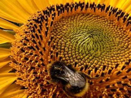 Messages From Beyond - July 19