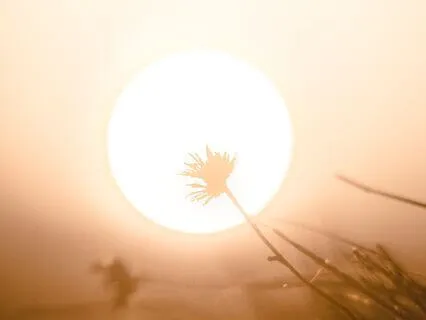 Messages From Inner Guidance Meditation