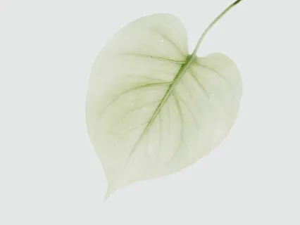 Messages From Time Beyond Cello & Harp Vol.2