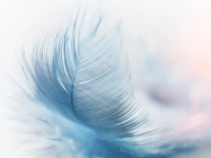 Messages From Your Guardian Angel