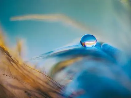 Metacognition: Creating Space Around Your Thoughts