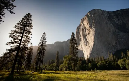 Metacognition of Mental States