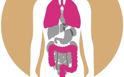 Metal Element: Meditation On The Lungs & Large Intestine
