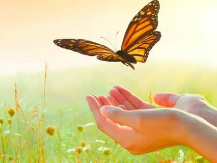 Metal Element: Music For Grief And Letting Go