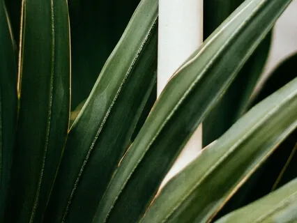 Metal Healing Sounds