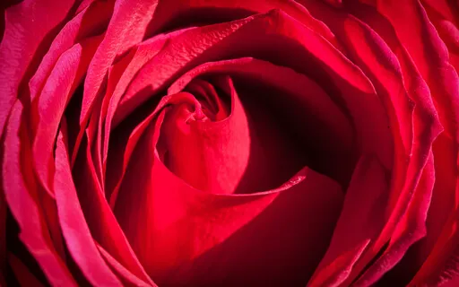 Metta Compassion Meditation