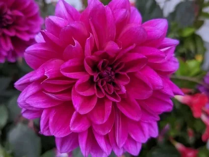 Metta For Self And Metta In The World