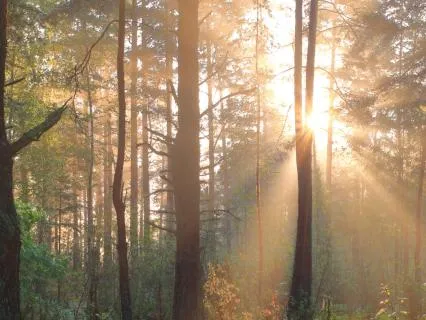 Metta For Self Meditation