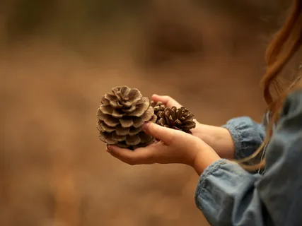 Good Will Is Available