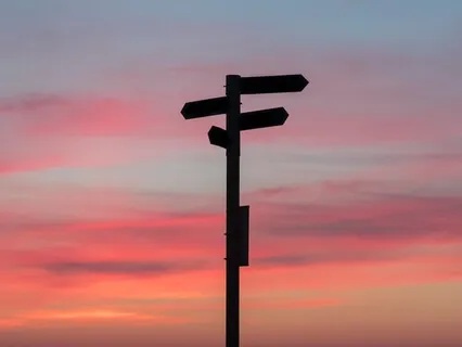 Metta-Inspired Meditation For Action, Voting, Democracy