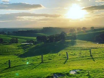 Metta Kindness Guided Meditation