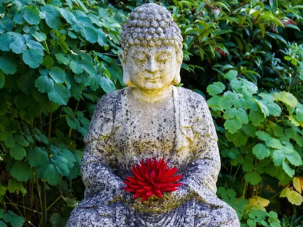 Metta Loving Kindness Meditation