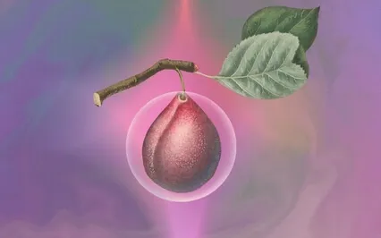 Mettā Loving Kindness  Meditation 